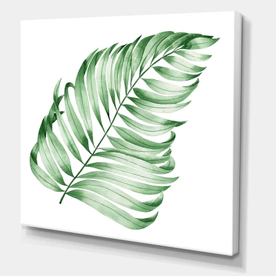 Designart - Tropical Leaf Of Monstera II