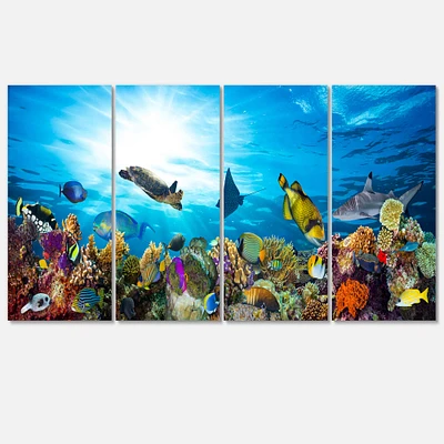 Designart - Colorful Coral Reef with Fishes