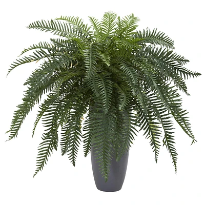 3ft. River Fern Plant in Cylinder Planter