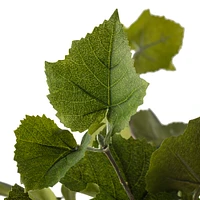 Green Hanging Grape Leaf Bush by Ashland®