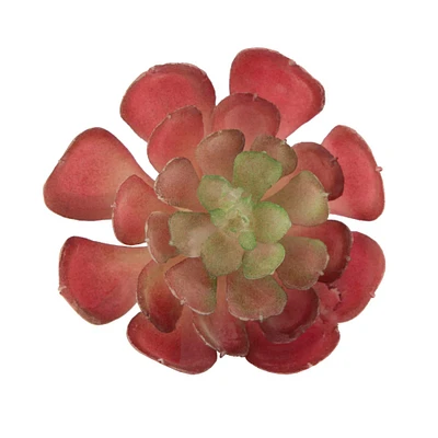 Flora Bunda® Small Echeveria Succulent Pick