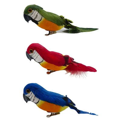 Assorted Feather Parrot by Ashland®