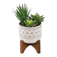 Flora Bunda® 4" Faux Succulents in Ceramic Footed Stand