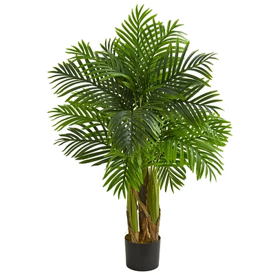 4ft. Potted Kentia Palm Tree
