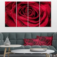 Designart - Red Rose Petals with Rain Droplets