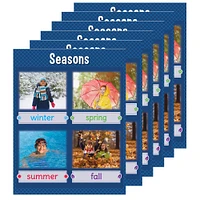 Creative Teaching Press® Seasons Chart, 6ct.