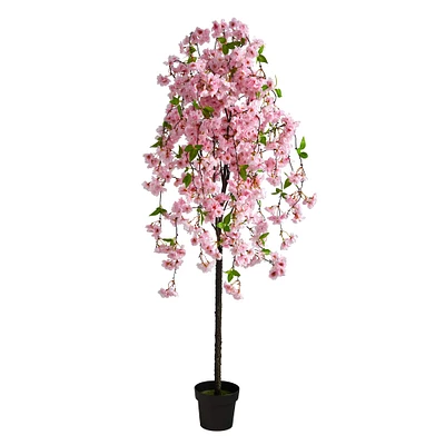 5ft. Potted Cherry Blossom Tree