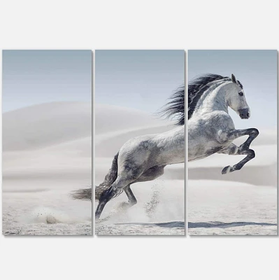 Designart - Galloping White Horse