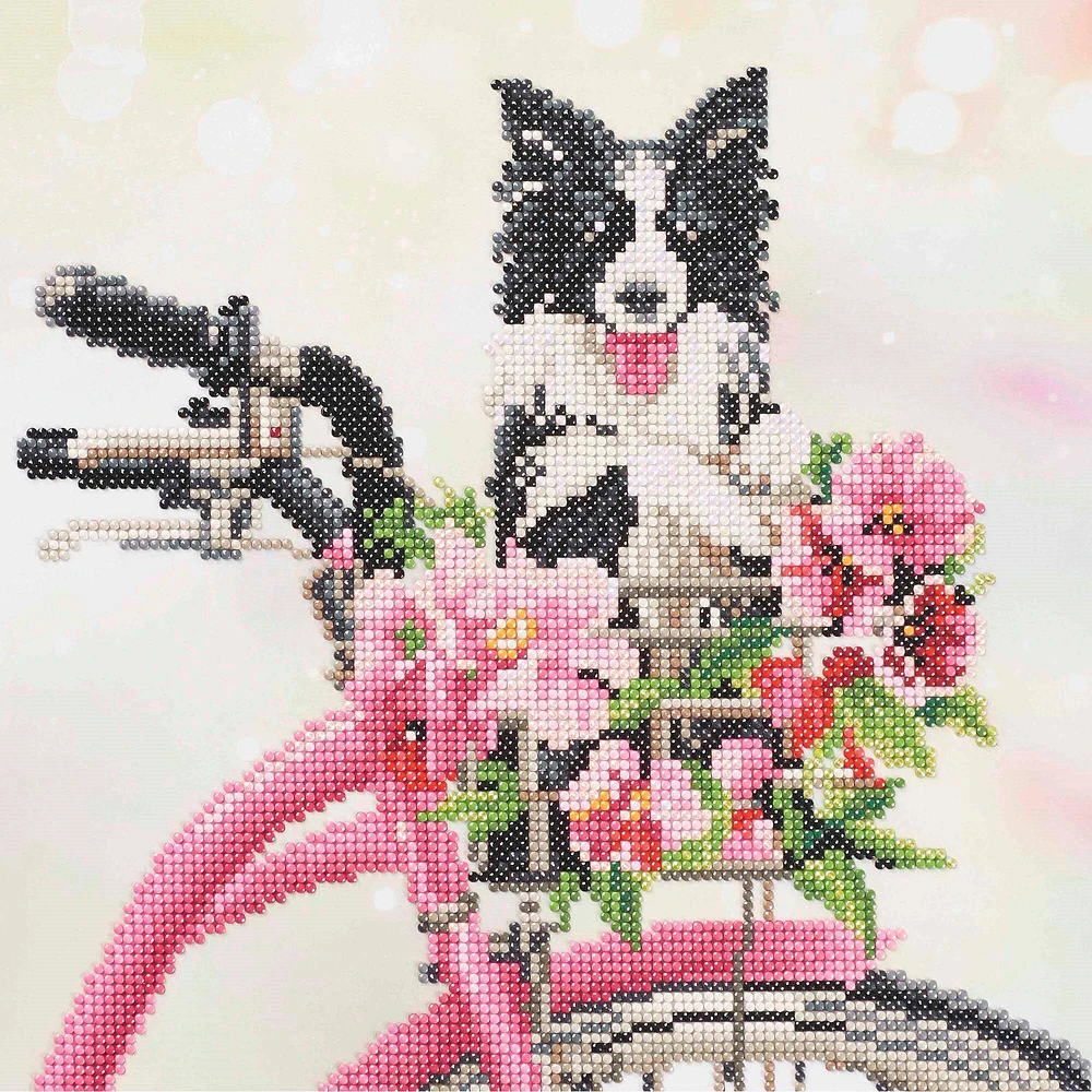 Sparkle Art Intermediate Border Collie Diamond Painting Kit