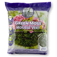 SuperMoss® Preserved Green Moss