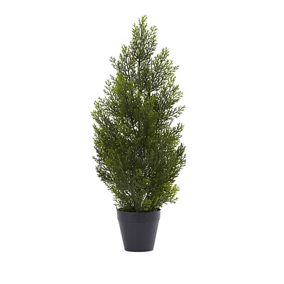 2ft. Potted Mini Cedar Pine Tree