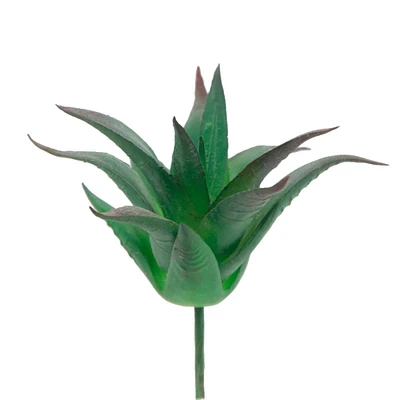 Flora Bunda® Aloe Vera Succulent Pick, 6ct.