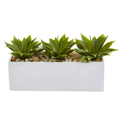 13" Agave Succulent in White Rectangular Planter