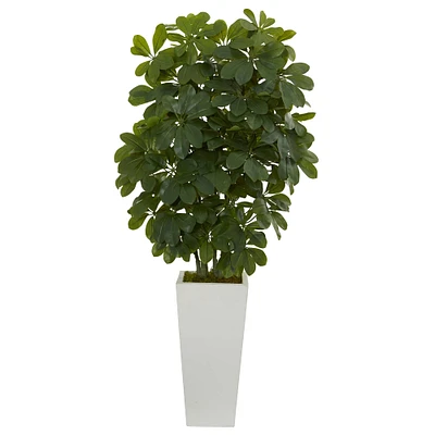 3ft. Umbrella Tree in White Vase