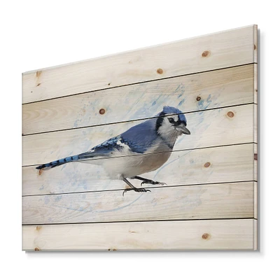 Designart - Vintage Blue Jay Bird