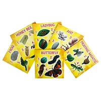 Insect Lore Life Cycle Figurine 24 Piece Set