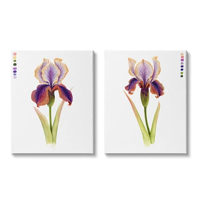 Stupell Industries Orange & Purple Iris Flower with Color Key Canvas Wall Art Set