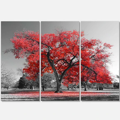 Designart - Big Red Tree on Foggy Day