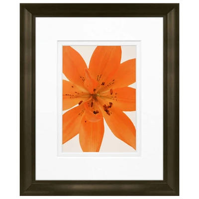 Timeless Frames® Tiger Lily in Bloom Framed Print Wall Art