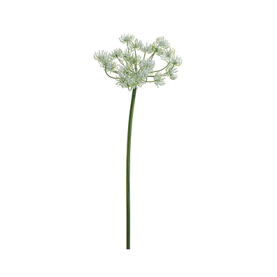 24 Pack: Queen Anne's Lace Spray