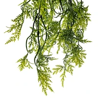 Green Hanging Fern Bush by Ashland®