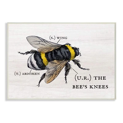 Stupell Industries Anatomy of Honey Bee Pun Wall Art