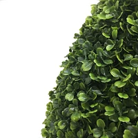 2ft. Potted Boxwood Teardrop Shaped Bush