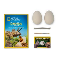 12 Pack: National Geographic™ Dino Egg Dig Kit