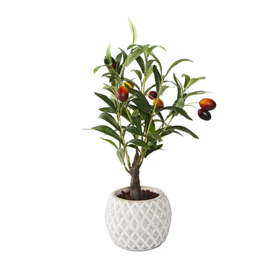 Flora Bunda® 14" Olive Branch In 4" Ceramic Pot