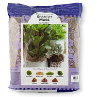 SuperMoss® Natural Preserved Spanish Moss, 24qt.