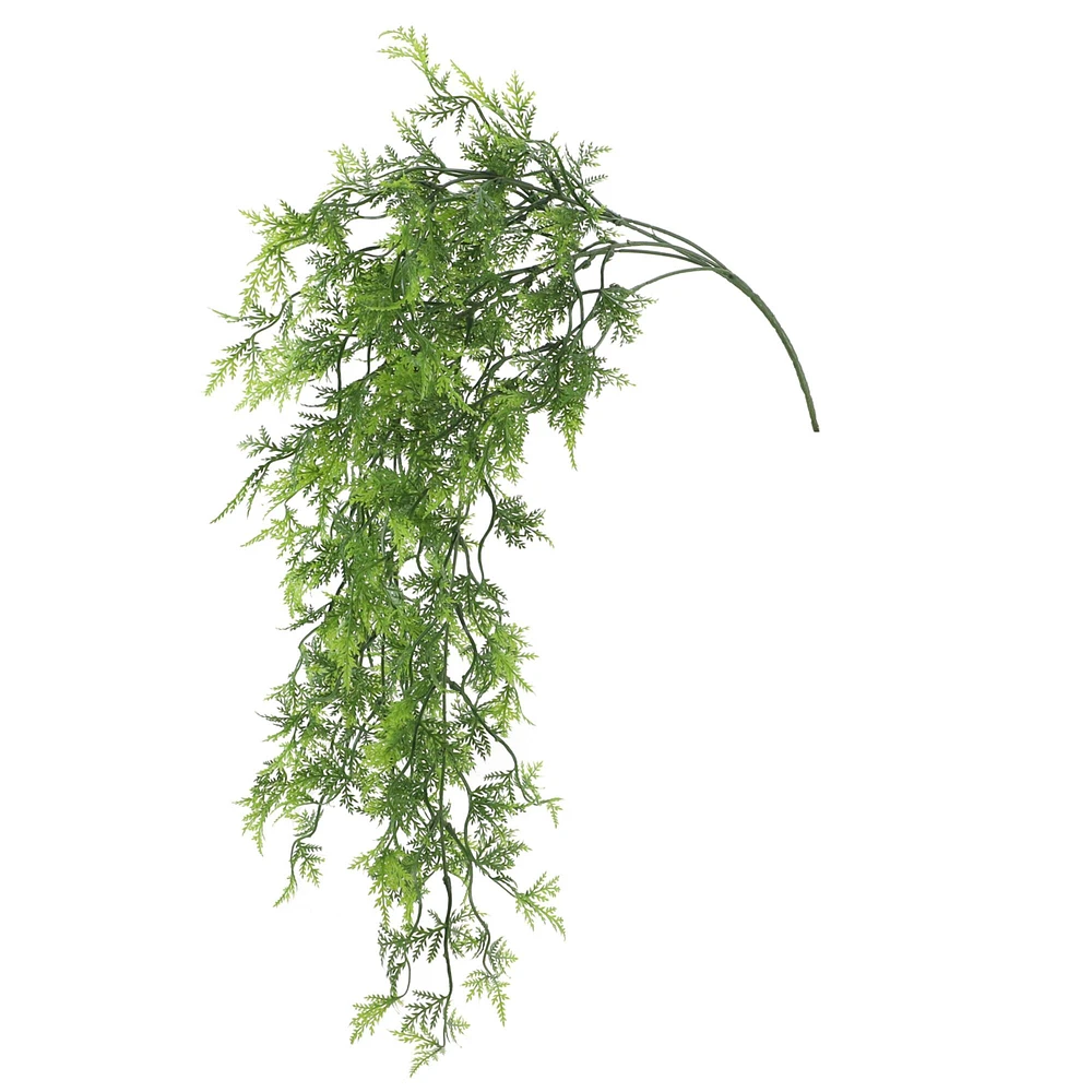 Green Hanging Fern Bush by Ashland®