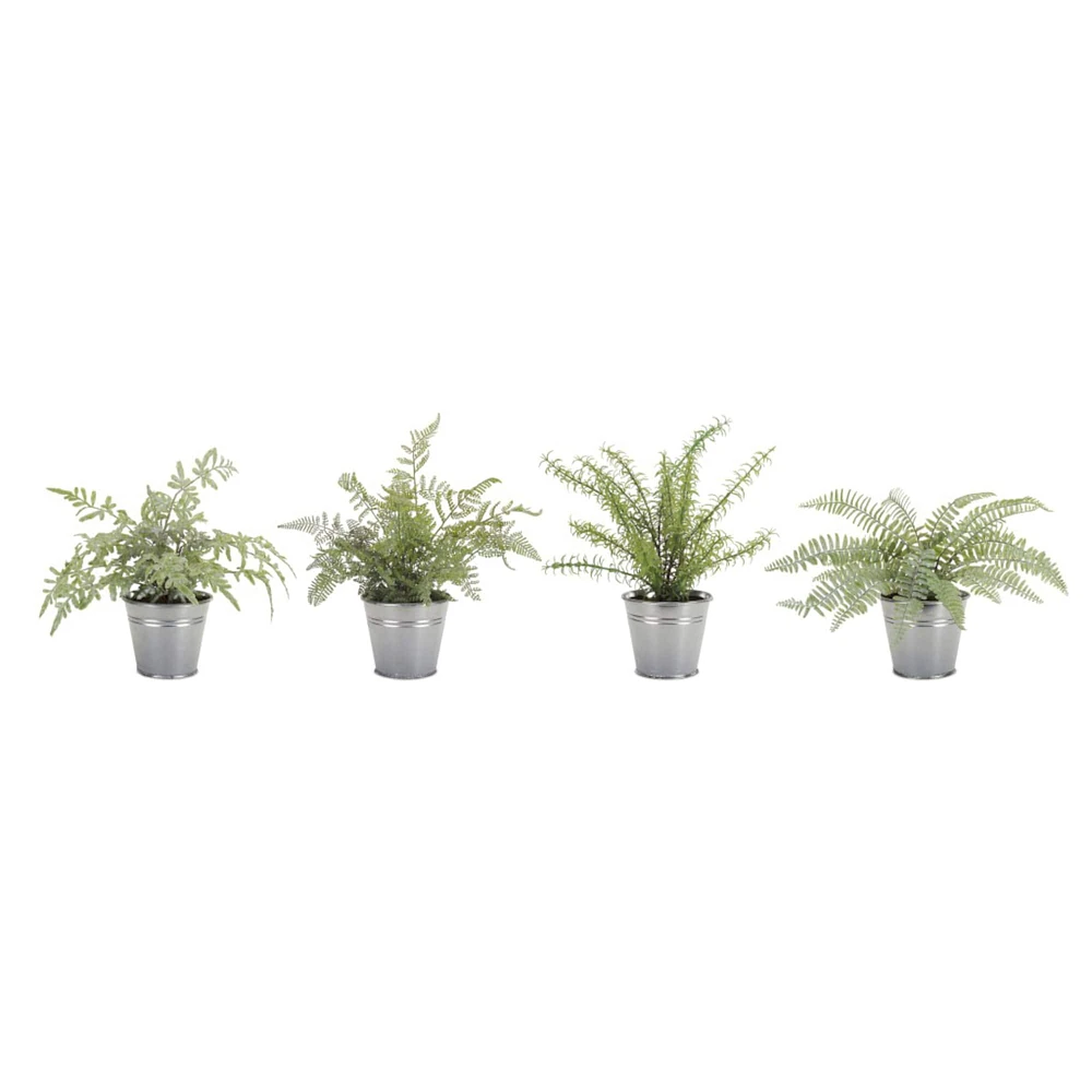 15" Potted Fern Set