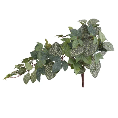 Green Hanging Fittonia Bush by Ashland®