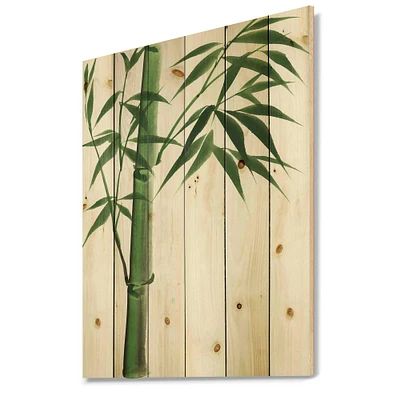 Designart - Detail Of Dark Green Bamboo III - Traditional Print on Natural Pine Wood