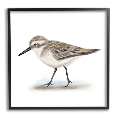 Stupell Industries Nautical Sandpiper Bird on Sand Speckled Feathers in Frame Wall Art