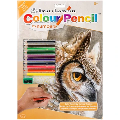 Royal & Langnickel® Sepia Owl Colour Pencil™ by Numbers Kit