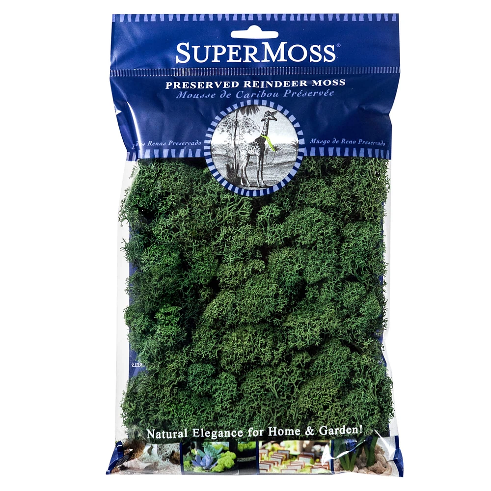 SuperMoss® Preserved Reindeer Moss, Forest