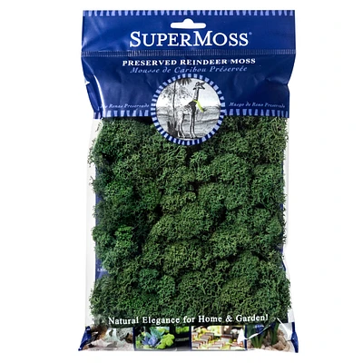 SuperMoss® Preserved Reindeer Moss, Forest