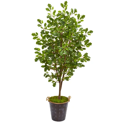 5.5ft. Oak Tree in Decorative Planter