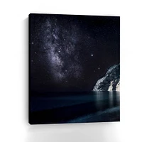 Lumaprints Stars in the South Canvas Giclée Wall Art