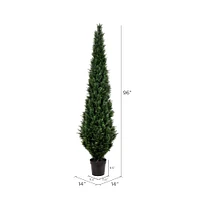 8ft. Potted Cedar Tree