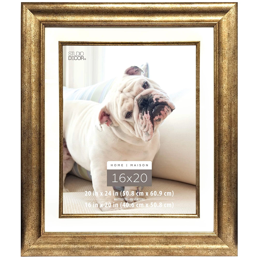 Champagne Frame, 20" x 24" With 16" x 20" Mat, Home Collection By Studio Décor®