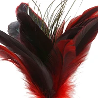 Peacock Feather Pick by Ashland
