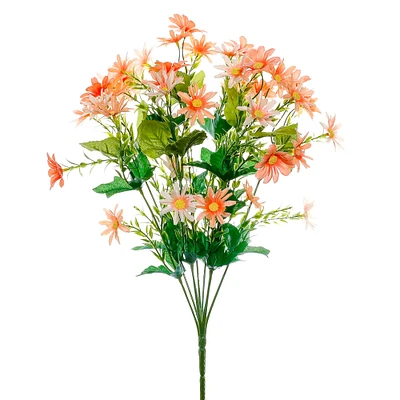 Coral Mini Daisy Bush by Ashland®