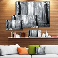 Designart - Black and White Foggy Forest