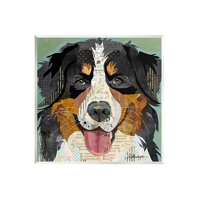 Stupell Industries Bernese Mountain Dog Wall Plaque Art