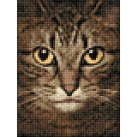 Crafting Spark Wise Cat Diamond Painting Kit