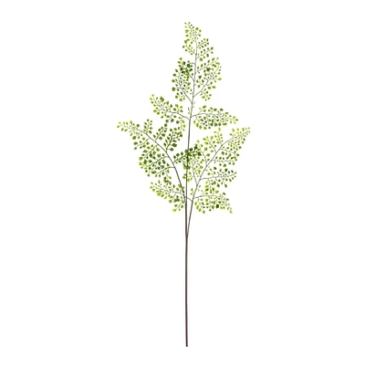 24 Pack: Forest Maidenhair Fern Spray