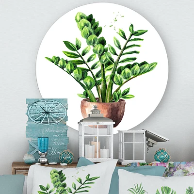 Designart - Zamioculcas Tropical Plant With Green Leaves - Traditional Metal Circle Wall Art