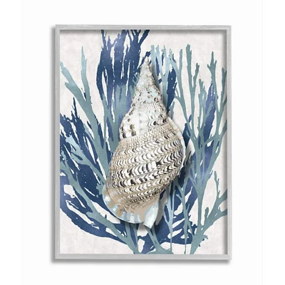 Stupell Industries Shell Coral Blue Beach Design Framed Wall Art